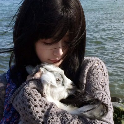 猫和老鼠旧版