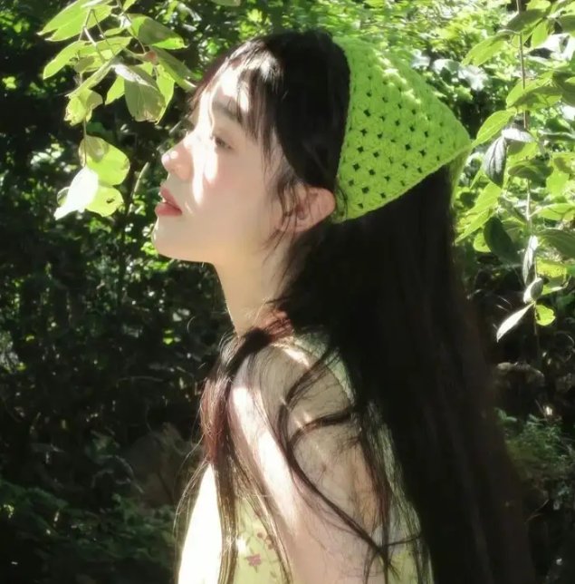 淑女鸟